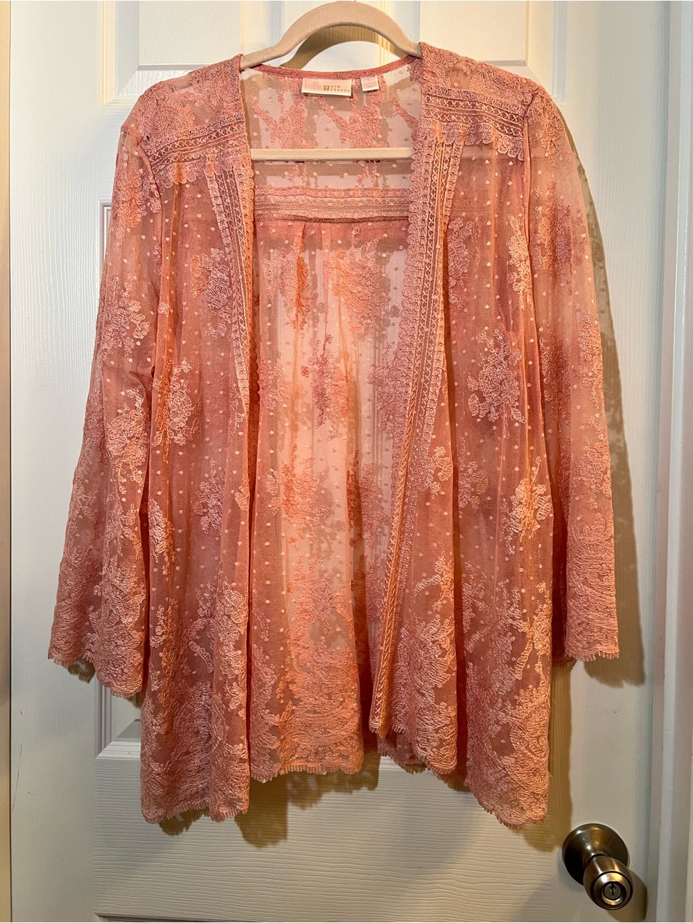 🦋 NWOT Sheer Lace-Trim Pink Kimono Tunic Belle Kim Gravel size Large